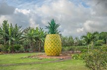 "The Dole Plantation" & "North Shore" Private Limousine VIP Tour!