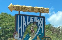 "The Dole Plantation" & "North Shore" Private Limousine VIP Tour!