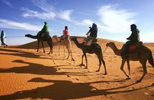 Fez to Marrakech via Merzouga Desert - 3 Day Desert Tour 