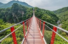 Private DMZ Tour (No Shopping): 3rd Tunnel & Suspension Bridge