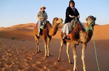 Camel trek with 1 Night in Luxury camp with Dinner+ Sundbording