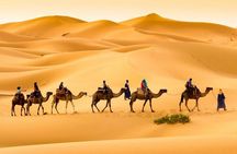 Camel trek with 1 Night in Luxury camp with Dinner+ Sundbording
