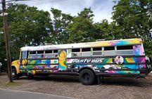 Half Day St. Kitts Party Bus City Excursion and Beach