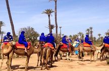 Marrakech : Camel Ride and Quad Bike in Palmeraie