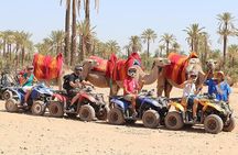 Marrakech : Camel Ride and Quad Bike in Palmeraie