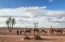 Marrakech : Camel Ride and Quad Bike in Palmeraie