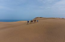 Agadir Sand Dunes and Camel Ride in Tifnit with Lunch