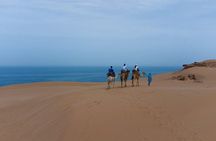 Agadir Sand Dunes and Camel Ride in Tifnit with Lunch