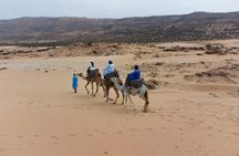 Agadir Sand Dunes and Camel Ride in Tifnit with Lunch