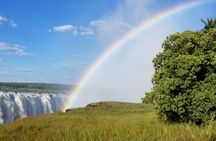 Guided Falls Tour & Zambezi River Cruise Combo