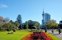 The best of Auckland walking tour