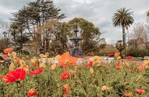 Private Cultural Journey Through Historic Auckland