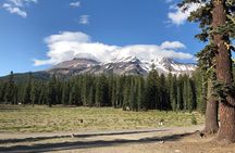 Mount Shasta Sacred Tour