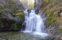 Mount Shasta Sacred Tour