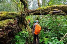 Fansipan Trek One Day Tour – Roof of Indochina