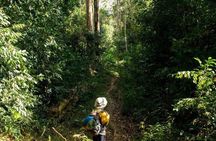 Mount Fansipan 2 Days Trek – Roof of Indochina