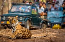 7 Days Golden Triangle Tour with Ranthambore & Varanasi Tour