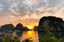 Full Day Halong Bay Luxury Limousine Bus & Buffet Lunch
