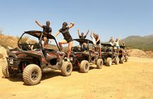 BUGGY TOUR VOLCANO TEIDE with wine degustation
