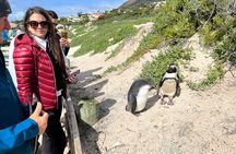 Private Tour Cape Point, Cape Of Good Hope & Penguins