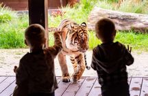 Taronga Zoo + Ferry Return Ticket