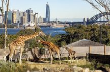 Taronga Zoo + Ferry Return Ticket