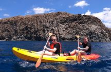 Kayaking + snorkeling with turtles