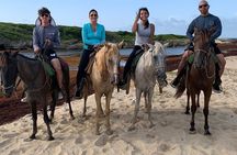  Sunset beach Horseback riding in Macao Beach 