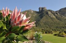  Robben Island ,Kirstenbosch Gardens and Groot Constantia.