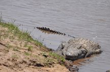 4 Days Lake Nakuru and Masai Mara Safari