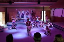 Lesedi Cultural Village from Johannesburg