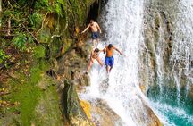 Blue Hole Waterfalls and Rasta Garden from Montego Bay