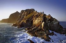 Cape Point ,Cape of Good Hope and Table Mountain Tour .