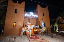 Moroccan Fantasia Dinner Show with Transfer from Agadir/Taghazout