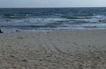 Sunrise Hike & Swim in Natural Pool: Escape the Crowds and Heat