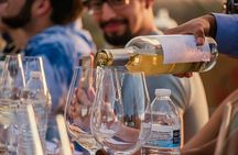 Private Wine Tasting Experience in Parras de la Fuente