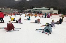 Jisan Ski Resort + Everland One Day Tour 