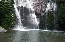 Banyumala Waterfall And Best Of North Bali Private Guided Tour 