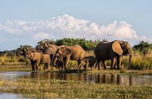 5 Day Garden Route and Botlierskop Game reserve from Cape Town