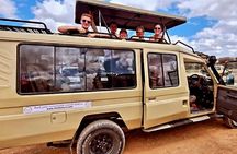 4 Days lodge &camping Tarangire,Serengeti, Ngorongoro Safari Tour