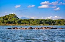 4-Day Masai Mara, L Naivasha and L Nakuru Safari