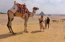 Private Tour Giza Pyramids ,Sphinx,Memphis,Saqqara&Pyramid Inside