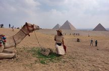 Giza pyramids,Sphinx, ATV bike,Camel ,Dinner Cruise&Shopping tour