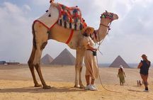 8hours Private Giza Pyramids Memphis Sakkara Lunch and Camel ride