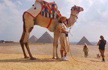 Full-Day Trip Giza pyramids & Egyptian museum From Sharm El-sheikh by plane