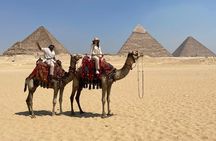 All Inclusive Private Half Tour to Giza Pyramids Camel Ride Lunch Entrance fees