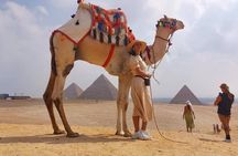 Private Tour Giza Pyramids,Sphinx,lunch,camel& inside 3rd pyramid