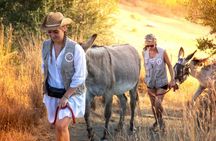 Tour the Sanctuary and Walk with the Donkeys and Share their Love 