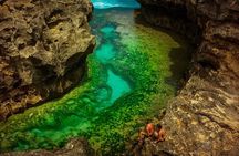 Private Full-Day West Tour Nusa Penida All Inclusive from Bali