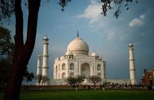 From Delhi:Taj Mahal Sunrise Tour with Elephant SOS Center